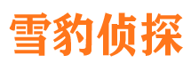 洛隆侦探公司